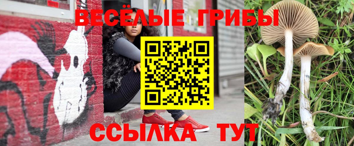 Псилоцибиновые грибы MAGIC MUSHROOMS Партизанск